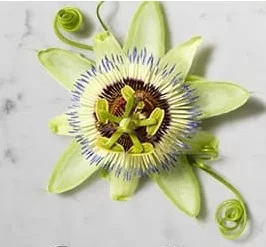 Midnight Recovery Concentrate - Passional Flower Essential Oil