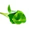 Centella Sensitive Facial Cleanser - Centella Asiatica Extract