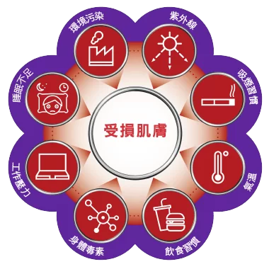 全效再生超級精華 - 8大肌膚問題