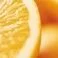 Powerful-Strength Line-Reducing Concentrate - Pure Vitamin C