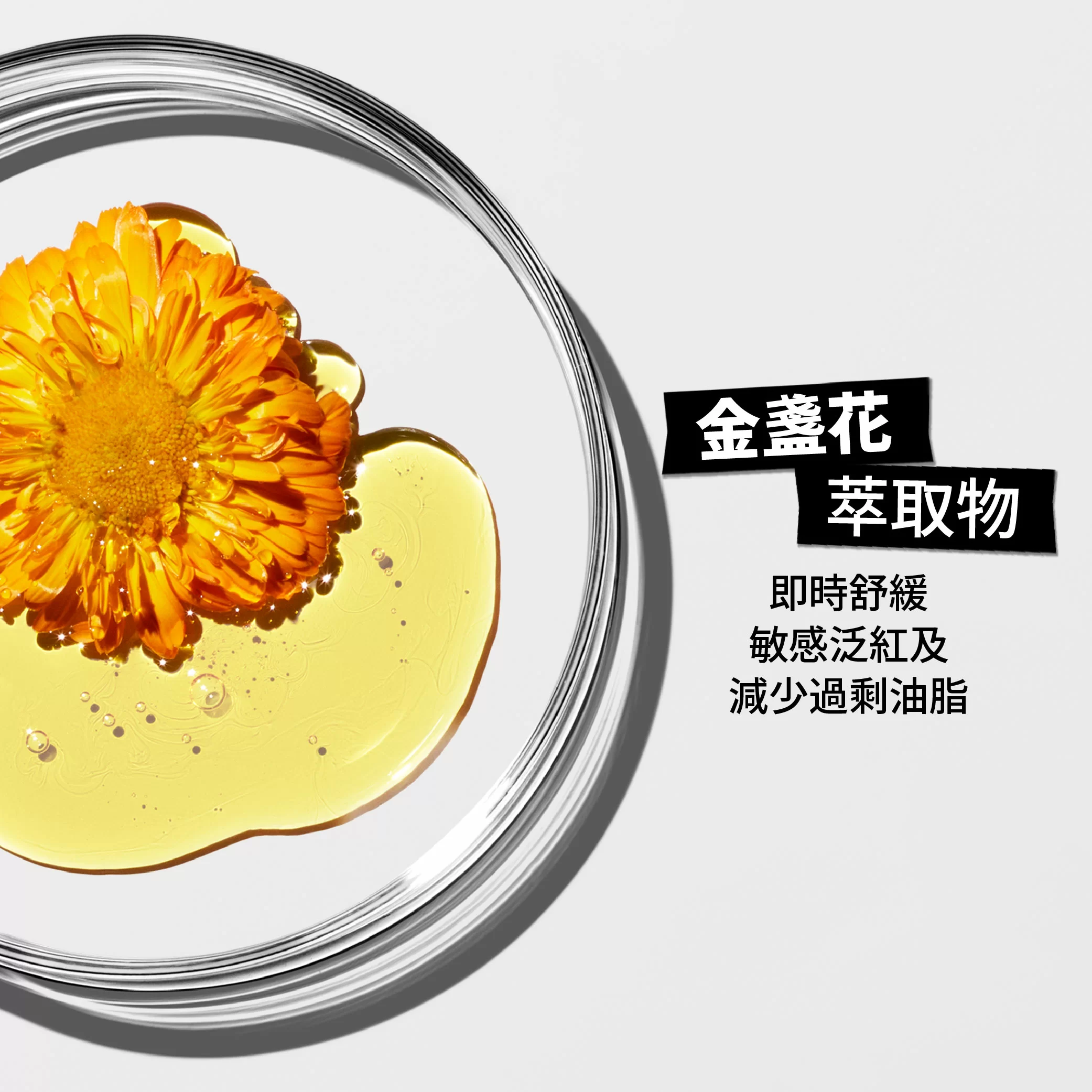 金盞花植物精華爽膚水